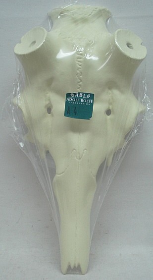 Rothirschschädel A10 70mm -