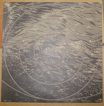 Spiegel DJV Jagdscheibe Nr5 - Überläufer links (alt Version)