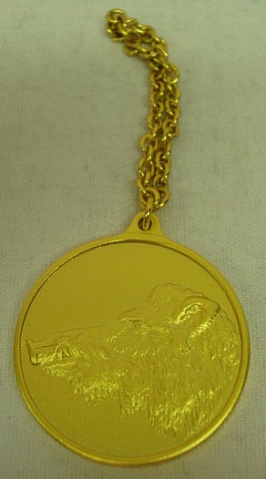 Jagdmedaille Keilerkopf Gold - 40 mm mit Ring & Öse vergoldet